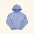 American Classic Hoodie (Sun Faded Blue)